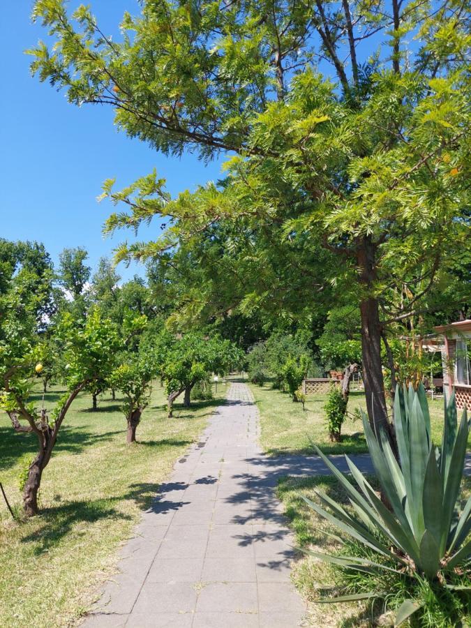 Villa Piersepp B&B Trappitello Eksteriør billede